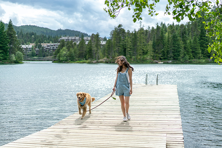 Woman walking her dog on a dock in Whistler