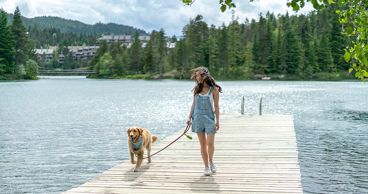 Vacationing with Your Dog in Whistler