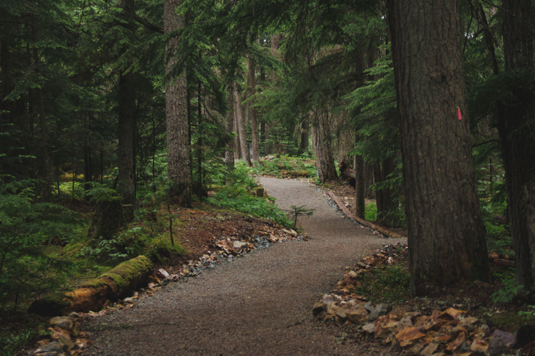 The Salish Stroll path in Whistler