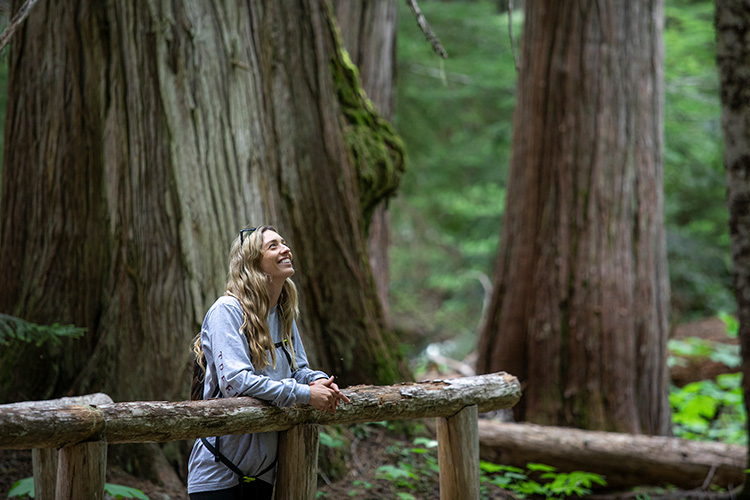 Hiker looking at ancient cedar trees in Whistler