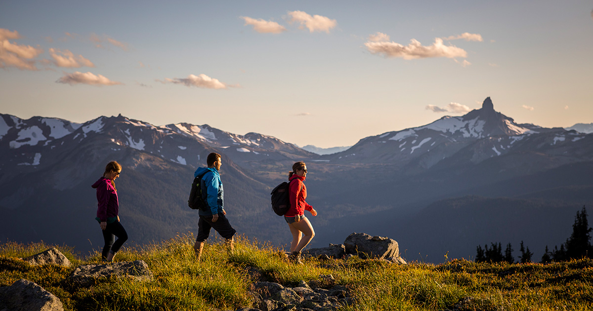 Insider's Guide: Whistler Hiking Essentials - The Whistler Insider