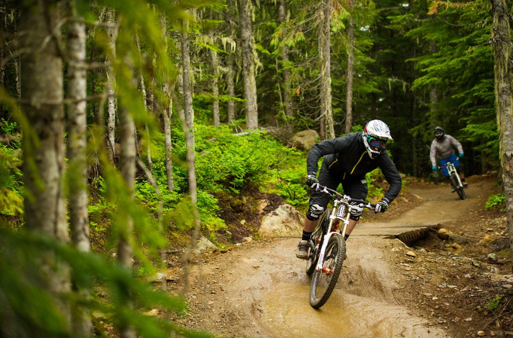 Two mountain bike riders come down the B-line trail in Whistler Mountain Bike Park.