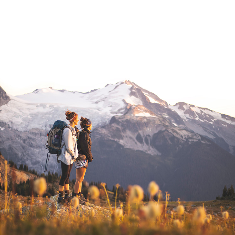 Hikers looking at a glacier in Whistler