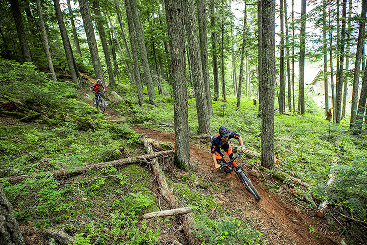 Two cross-country mountain bikers on a trail in Whistler