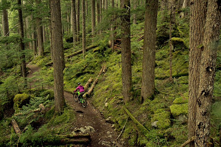 Cross-country mountain biker on a singletrack trail in Whistler