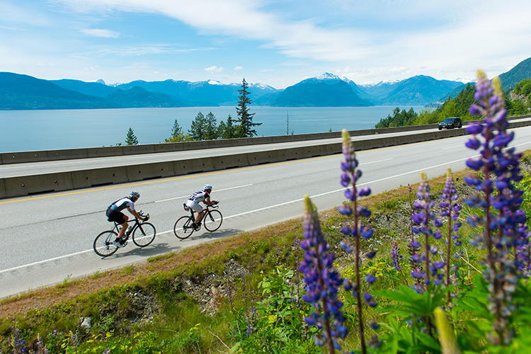 Road cyclists on the Sea to Sky Highway