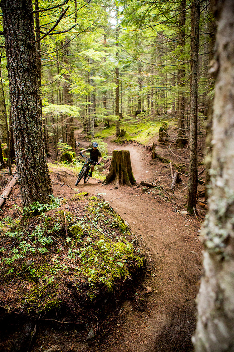 Rider on a rental bike in Whistler