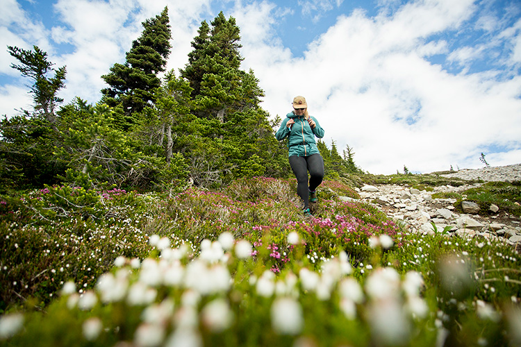 Hiker coming down a trail through wildflowers