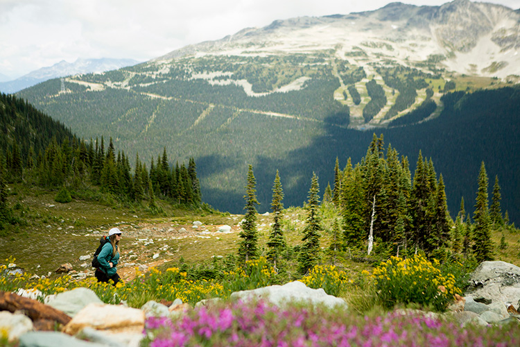 Hiker on Whistler Mountain with Blackomb behind them