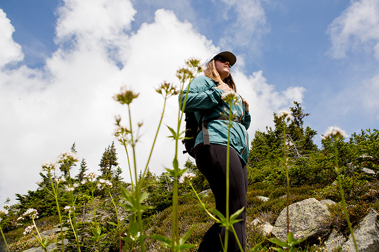 Hiker surrounded by wildflowers