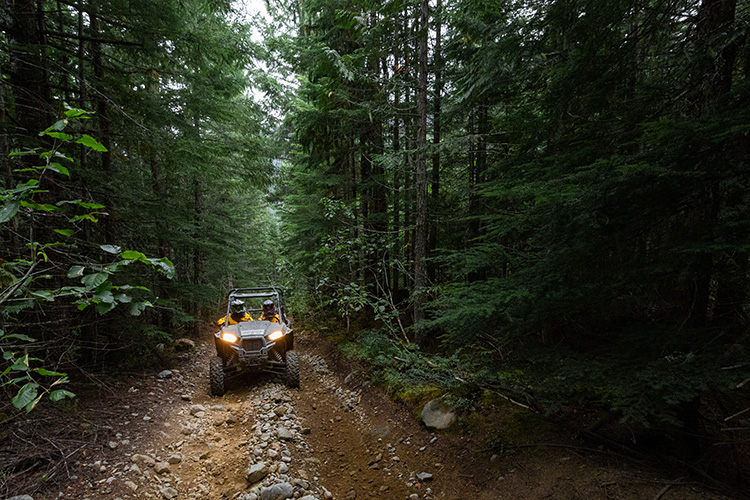 RZR Tour going through the woods in Whistler