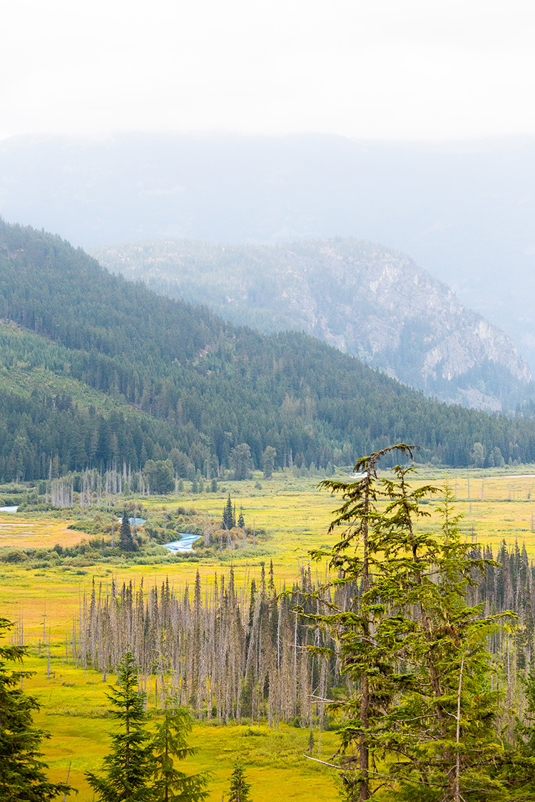 Soo Valley in Whistler