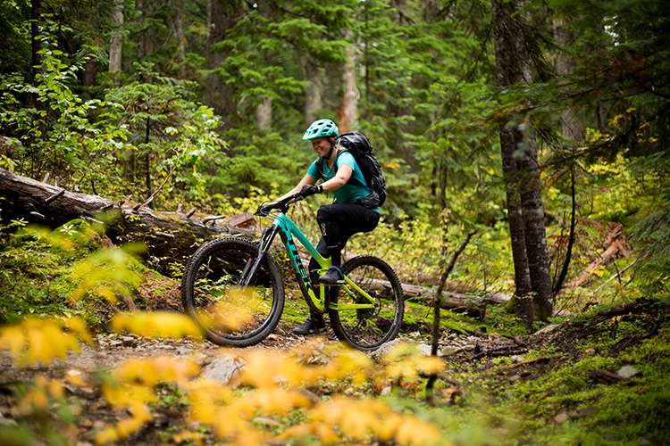 Mountain biker riding a mossy trail in Whistler