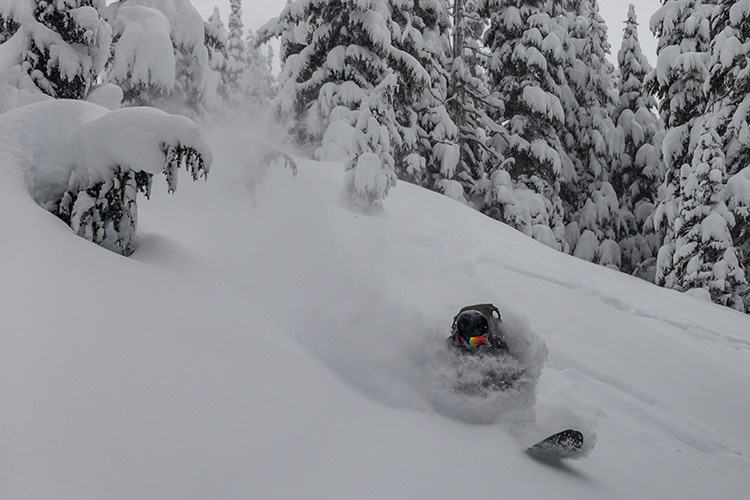 Snowboarding enjoying a powder run in the Whistler Backcountry