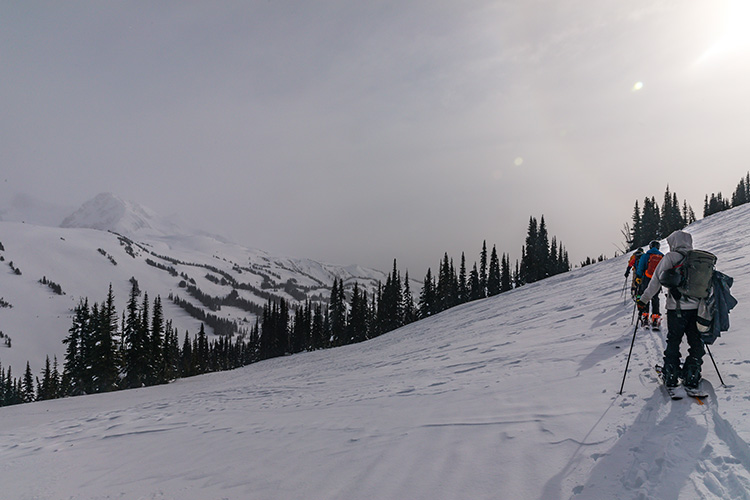 Backcountry skiers stopping to look at a mountain peak in Whistler