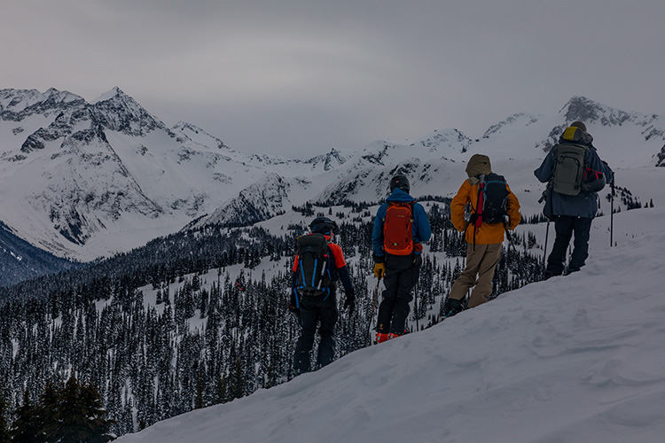 Group of skiers scoping backcountry terrain in Whistler