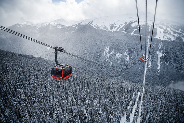 Peak 2 Peak gondola car against a snowy tree backdrop