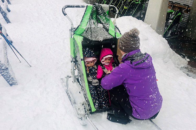 Twin babies in a chariot are going cross country skiing at Whistler Olympic Park.