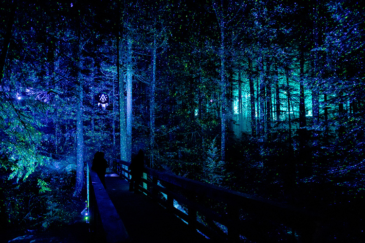 People viewing a light display in the forest from a bridge at Vallea Lumina