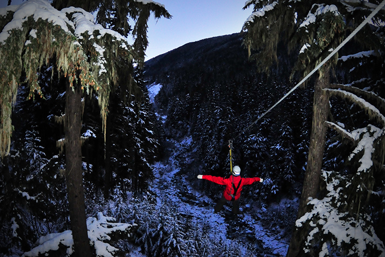 Person ziplining at dusk in Whistler