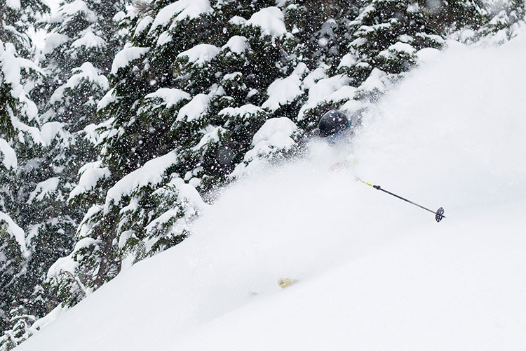 Skiing in the powder in Whistler.