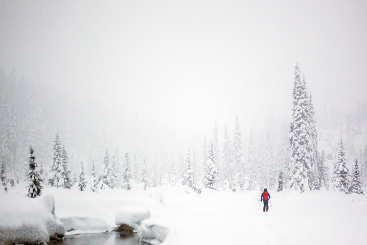 Winter Storm Watching in Whistler The Whistler Insider