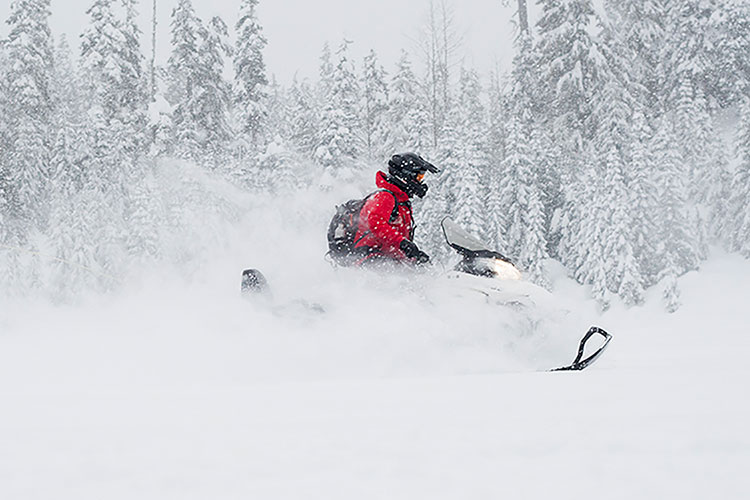 Snowmobiling in the powder in Whistler.