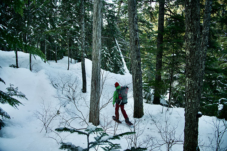A mother carries a baby on her back while exploring Whistler Olympic Park's snowshoe trails.