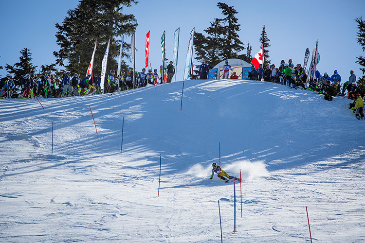 A skier races down Dave Murray Downhill on Whistler Blackcomb.