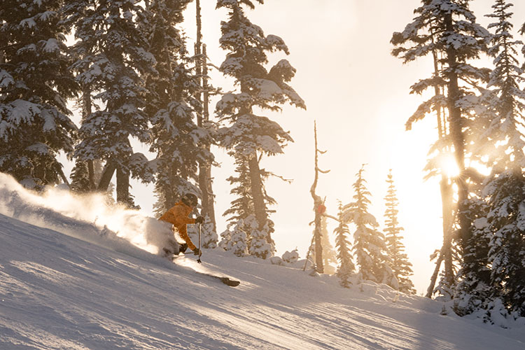 A skier has a sunny ride down Ridge Runner on Whistler Blackcomb.