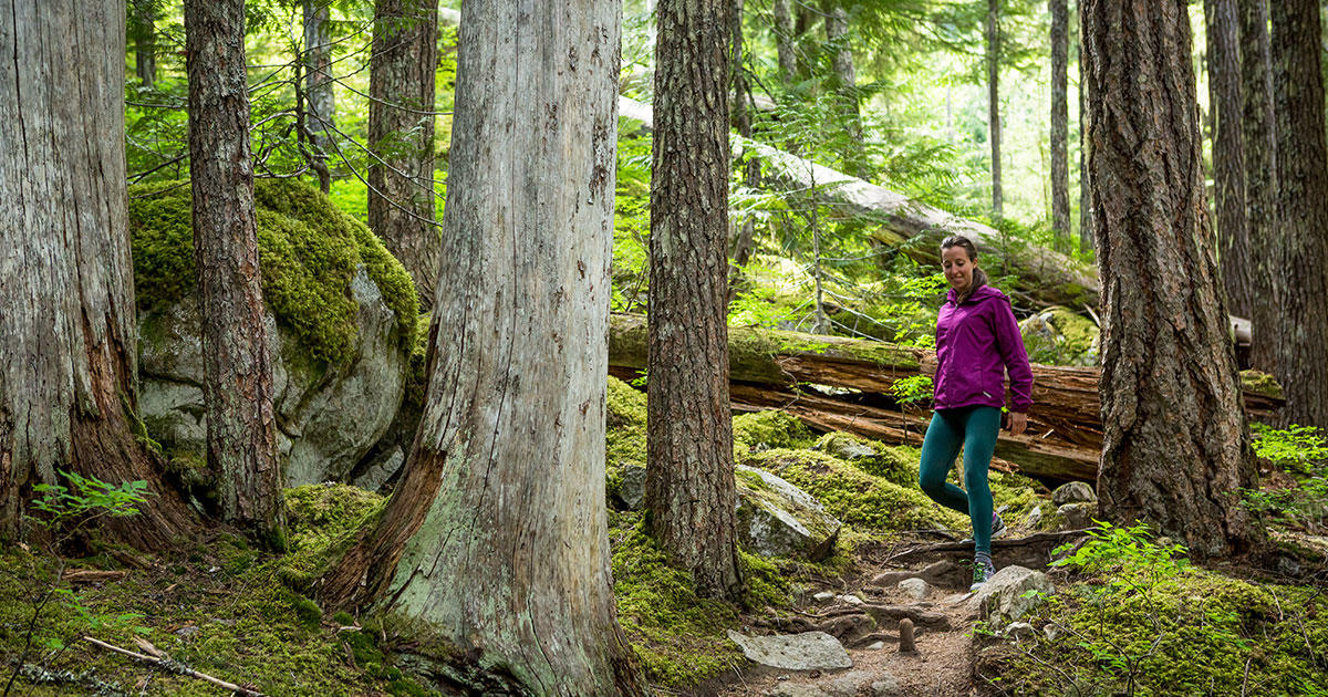 Insider's Guide: Forest Bathing in Whistler