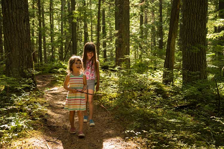 Kids forest bathing in Whistler