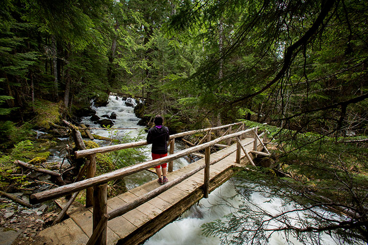 Forest bathing over a forest stream