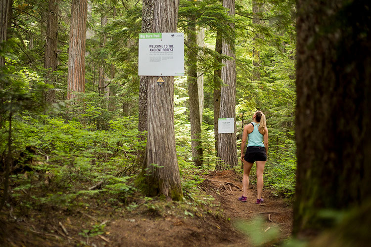 A woman hikes up the Ascent Trail on Blackcomb Mountain.