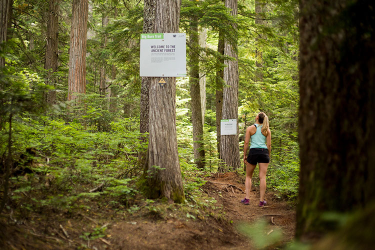 Insider Guide: Summer Hiking in Whistler