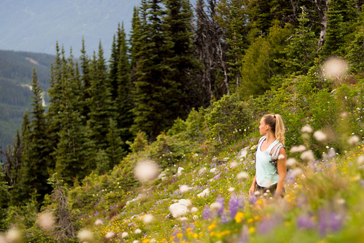 A woman hikes amongst the wildflowers on Whistler Blackcomb.