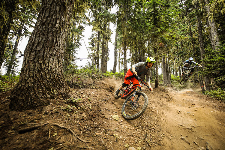 Two mountain bikers enjoy the trails in the Whistler Mountain Bike Park.