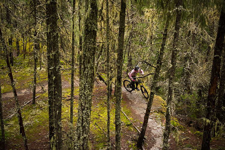 A cross-country bike rider weaves in the trees in Whistler's Lost Lake.