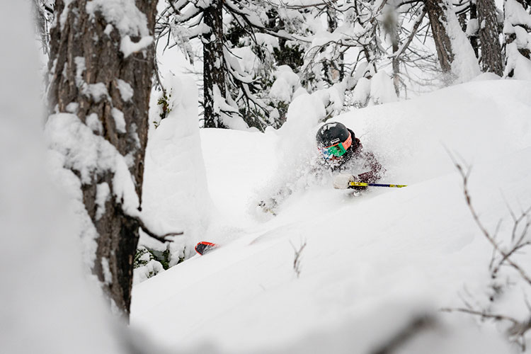 A skier tackles deep powder in the trees on Whistler's slopes.