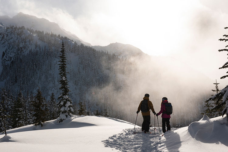 Two skiers look out across the snowy mountains in Whistler.