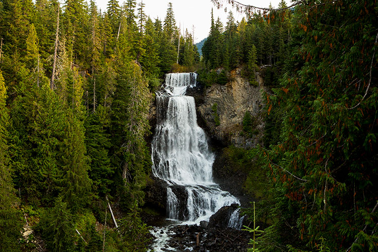 Alexander Falls with rich, green foliage flanking it.