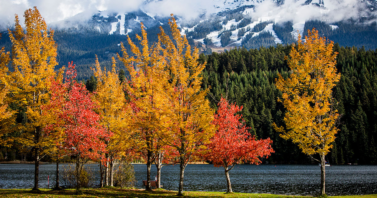The Best Fall Views in Whistler - The Whistler Insider