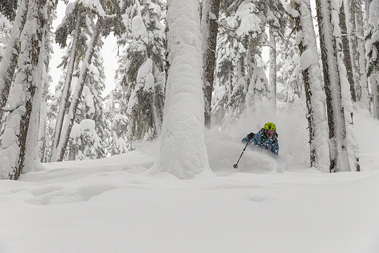 skiing in powder