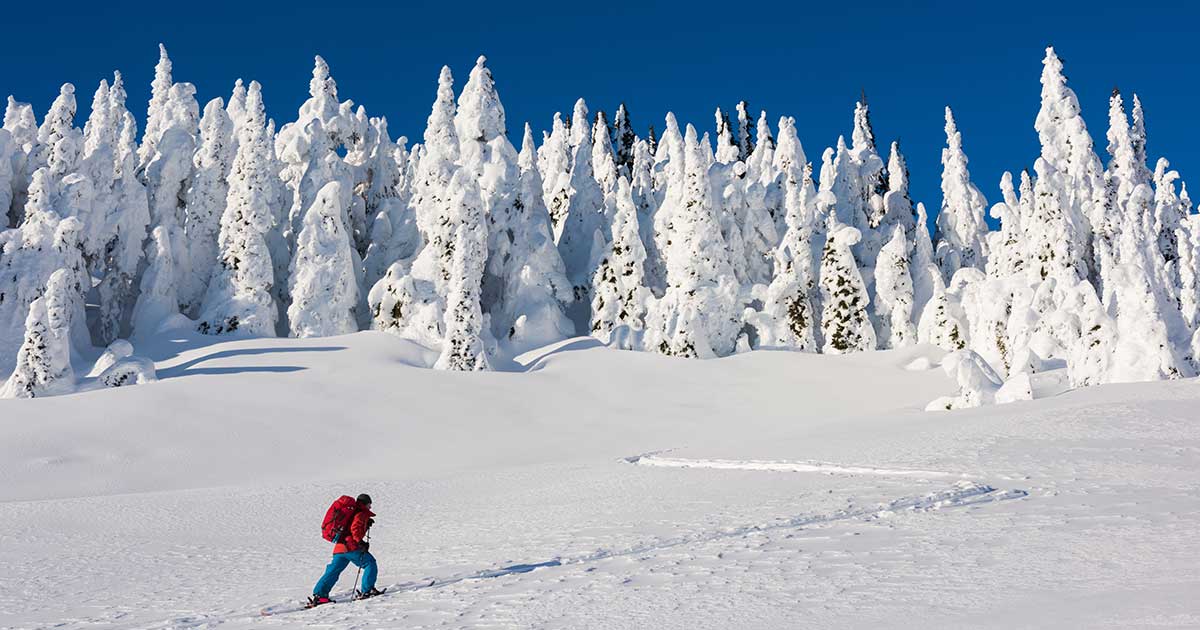 4 Ways To Ski Whistler - No Lift Ticket Required - The Whistler Insider