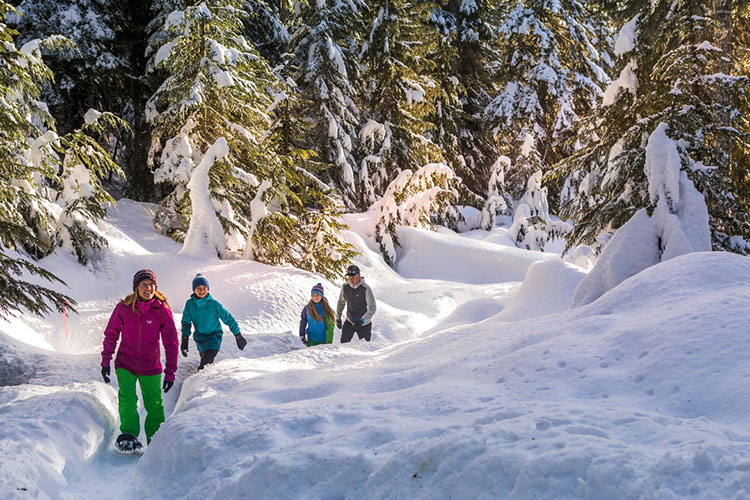 Group snowshoeing in Whistler