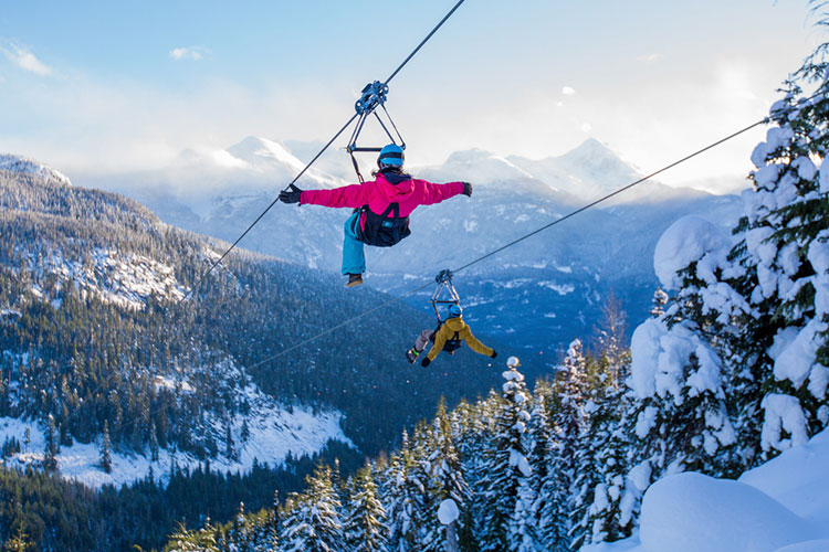 Ziplining at The Adventure Group