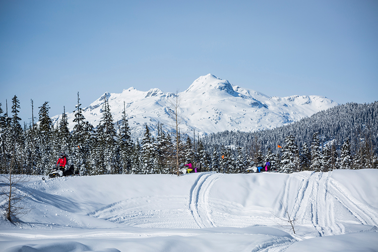 Snowmobile tour in front of the tree line and mountain peak