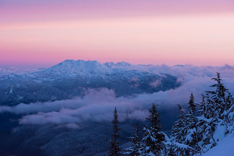 A pinky purple alpenglow in Whistler.