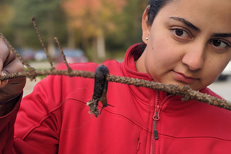 A woman holds a slug on a stick.