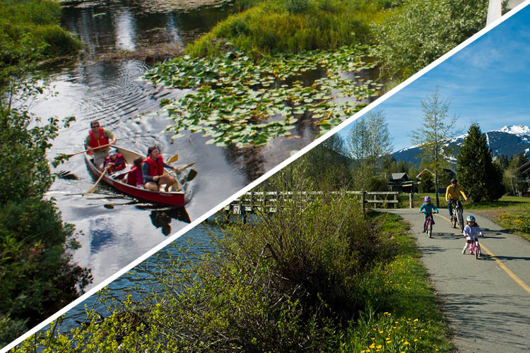 Family canoeing and riding bikes.